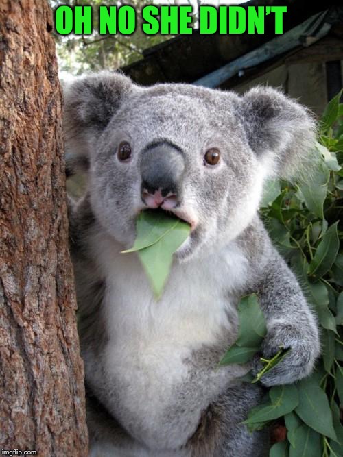 Surprised Koala Meme | OH NO SHE DIDN’T | image tagged in memes,surprised koala | made w/ Imgflip meme maker