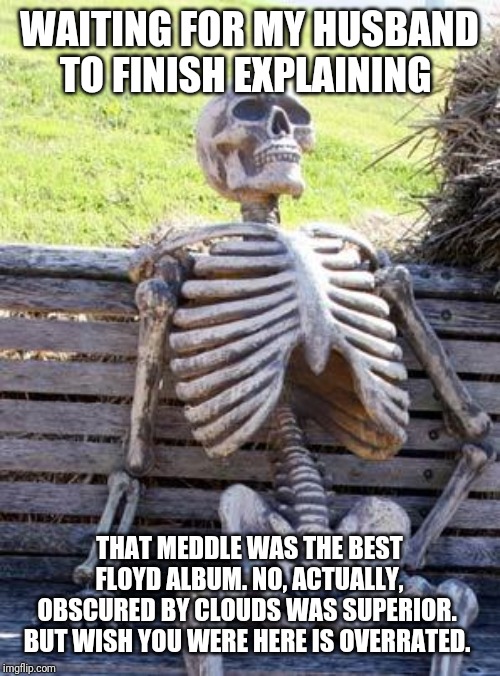 Waiting Skeleton | WAITING FOR MY HUSBAND TO FINISH EXPLAINING; THAT MEDDLE WAS THE BEST FLOYD ALBUM. NO, ACTUALLY, OBSCURED BY CLOUDS WAS SUPERIOR.  BUT WISH YOU WERE HERE IS OVERRATED. | image tagged in memes,waiting skeleton | made w/ Imgflip meme maker