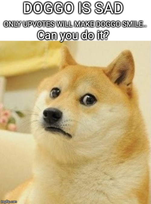 doge is sad | DOGGO IS SAD; ONLY UPVOTES WILL MAKE DOGGO SMILE.. Can you do it? | image tagged in doge is sad | made w/ Imgflip meme maker