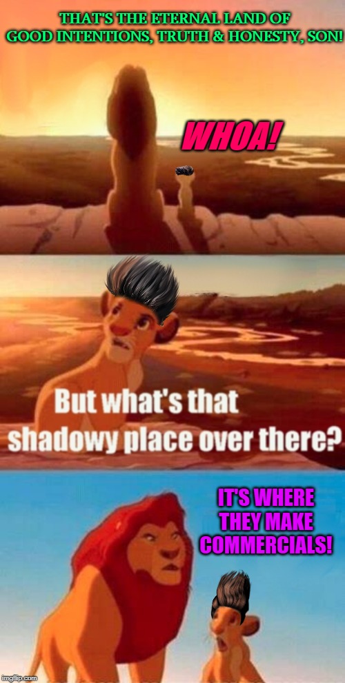 Simba Shadowy Place | THAT'S THE ETERNAL LAND OF GOOD INTENTIONS, TRUTH & HONESTY, SON! WHOA! IT'S WHERE THEY MAKE COMMERCIALS! | image tagged in memes,simba shadowy place | made w/ Imgflip meme maker