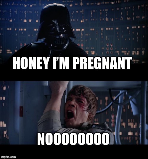 Star Wars No Meme | HONEY I’M PREGNANT; NOOOOOOOO | image tagged in memes,star wars no | made w/ Imgflip meme maker