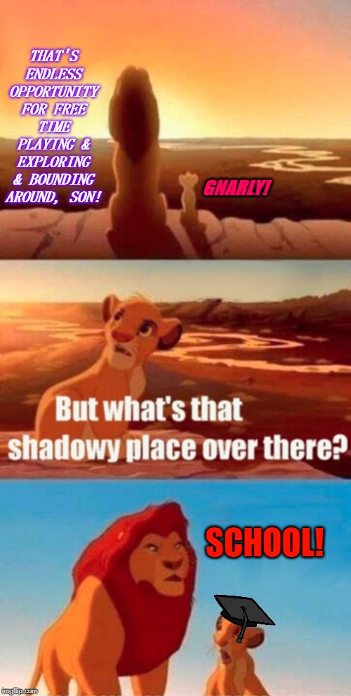 Simba Shadowy Place | THAT'S ENDLESS OPPORTUNITY FOR FREE TIME PLAYING & EXPLORING & BOUNDING AROUND, SON! GNARLY! SCHOOL! | image tagged in memes,simba shadowy place | made w/ Imgflip meme maker