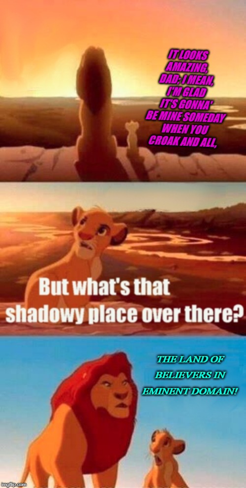 Simba Shadowy Place | IT LOOKS AMAZING, DAD; I MEAN, I'M GLAD IT'S GONNA' BE MINE SOMEDAY WHEN YOU CROAK AND ALL, THE LAND OF BELIEVERS IN EMINENT DOMAIN! | image tagged in memes,simba shadowy place | made w/ Imgflip meme maker