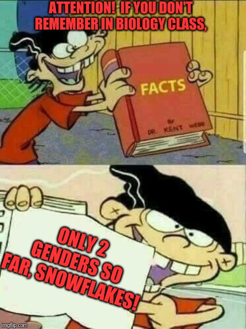 Double d facts book  | ATTENTION!  IF YOU DON'T REMEMBER IN BIOLOGY CLASS, ONLY 2 GENDERS SO FAR, SNOWFLAKES! | image tagged in double d facts book | made w/ Imgflip meme maker