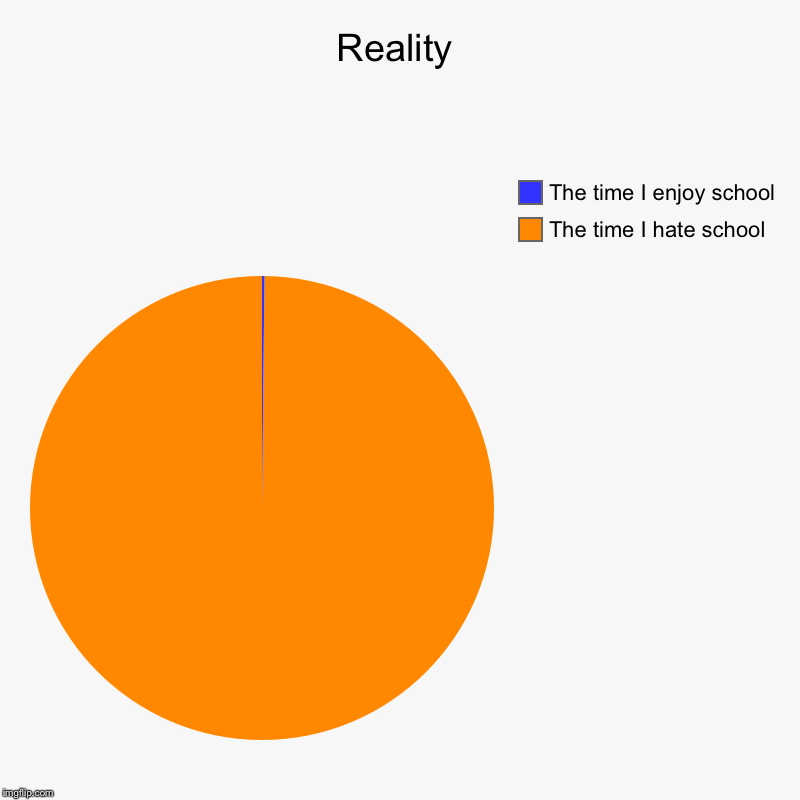 Reality | The time I hate school, The time I enjoy school | image tagged in charts,pie charts | made w/ Imgflip chart maker