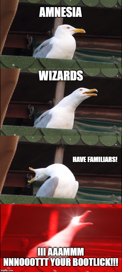 Inhaling Seagull | AMNESIA; WIZARDS; HAVE FAMILIARS! III AAAMMM NNNOOOTTT YOUR BOOTLICK!!! | image tagged in memes,inhaling seagull | made w/ Imgflip meme maker