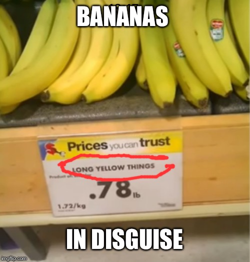 Long yellow things | BANANAS; IN DISGUISE | image tagged in isaac_laugh,laugh,banana,food,disgusting | made w/ Imgflip meme maker