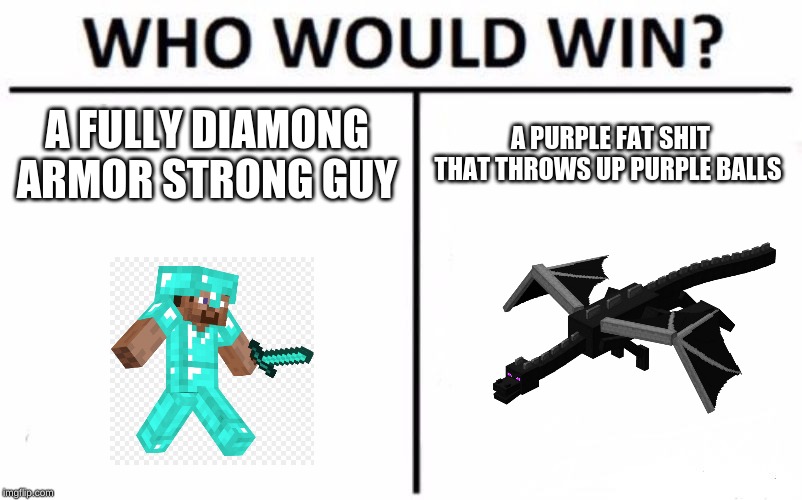 Who Would Win? | A FULLY DIAMONG ARMOR STRONG GUY; A PURPLE FAT SHIT THAT THROWS UP PURPLE BALLS | image tagged in memes,who would win | made w/ Imgflip meme maker