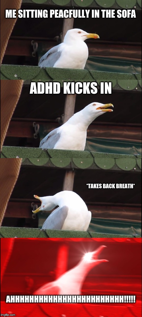 Inhaling Seagull | ME SITTING PEACFULLY IN THE SOFA; ADHD KICKS IN; *TAKES BACK BREATH*; AHHHHHHHHHHHHHHHHHHHHHHHH!!!!! | image tagged in memes,inhaling seagull | made w/ Imgflip meme maker