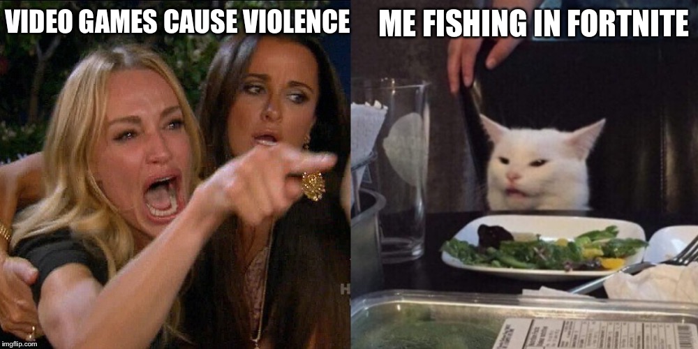 Woman yelling at cat | VIDEO GAMES CAUSE VIOLENCE; ME FISHING IN FORTNITE | image tagged in woman yelling at cat | made w/ Imgflip meme maker