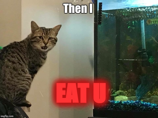No Cat | Then I EAT U | image tagged in no cat | made w/ Imgflip meme maker