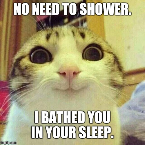 Overly Attached Cat | NO NEED TO SHOWER. I BATHED YOU IN YOUR SLEEP. | image tagged in overly attached cat | made w/ Imgflip meme maker