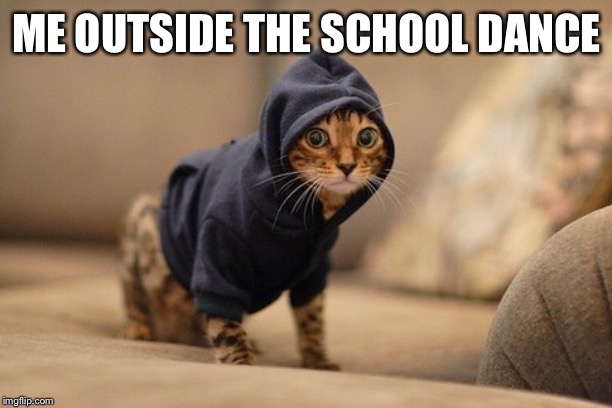 Hoody Cat Meme | ME OUTSIDE THE SCHOOL DANCE | image tagged in memes,hoody cat | made w/ Imgflip meme maker