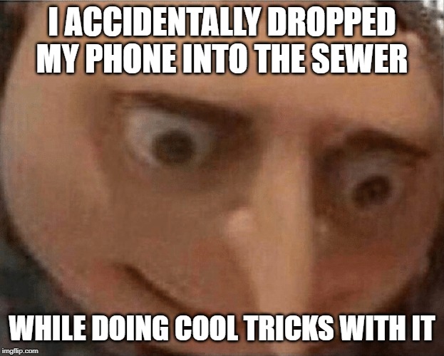 uh oh Gru | I ACCIDENTALLY DROPPED MY PHONE INTO THE SEWER; WHILE DOING COOL TRICKS WITH IT | image tagged in uh oh gru | made w/ Imgflip meme maker
