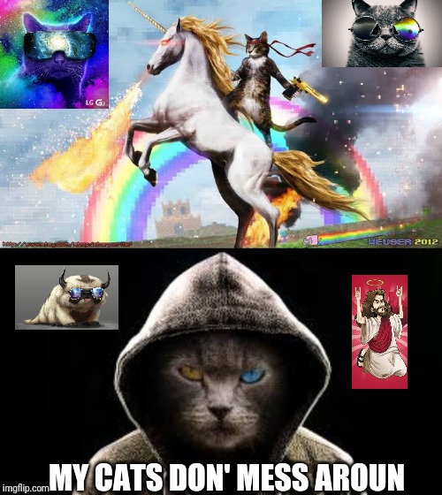 Don't call me kitty | MY CATS DON' MESS AROUN | image tagged in cats with guns,hardcore | made w/ Imgflip meme maker