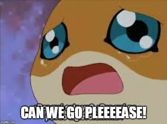 CAN WE GO PLEEEEASE! | image tagged in patamon | made w/ Imgflip meme maker