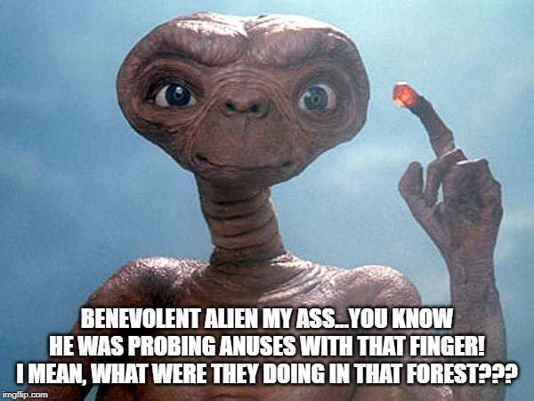 Plot Hole | BENEVOLENT ALIEN MY ASS...YOU KNOW HE WAS PROBING ANUSES WITH THAT FINGER! I MEAN, WHAT WERE THEY DOING IN THAT FOREST??? | image tagged in et | made w/ Imgflip meme maker
