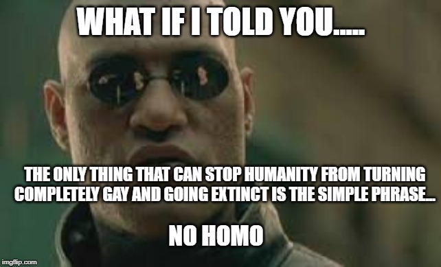WHAT IF I TOLD YOU..... THE ONLY THING THAT CAN STOP HUMANITY FROM TURNING COMPLETELY GAY AND GOING EXTINCT IS THE SIMPLE PHRASE... NO HOMO | made w/ Imgflip meme maker