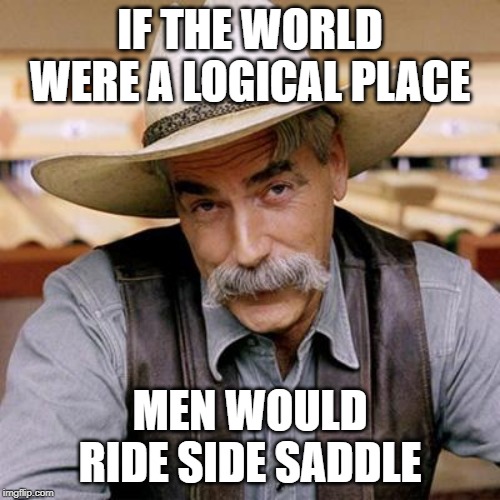 Cowboy Logic | IF THE WORLD WERE A LOGICAL PLACE; MEN WOULD RIDE SIDE SADDLE | image tagged in sarcasm cowboy,cowboy logic,funny memes | made w/ Imgflip meme maker