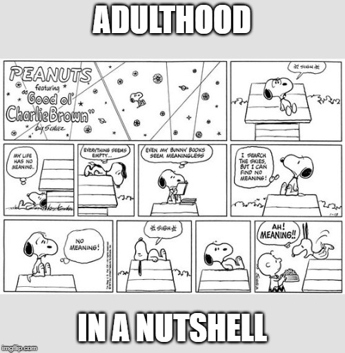 At least, it feels that way sometimes. | ADULTHOOD; IN A NUTSHELL | image tagged in memes,funny,peanuts,life,meaning,food | made w/ Imgflip meme maker