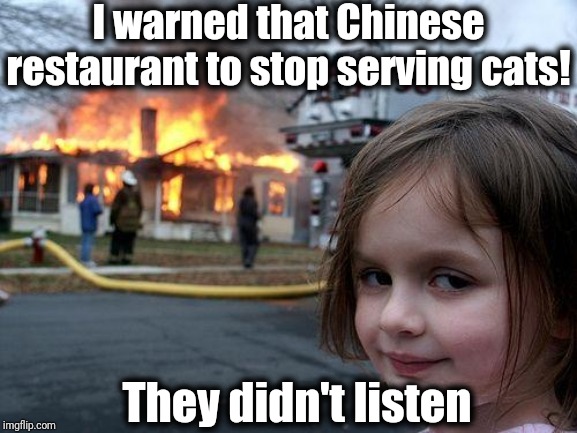 Disaster Girl Meme | I warned that Chinese restaurant to stop serving cats! They didn't listen | image tagged in memes,disaster girl | made w/ Imgflip meme maker