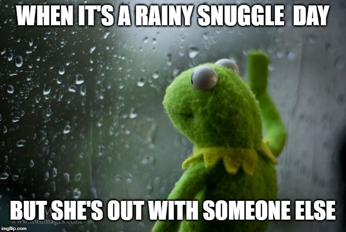 kermit window | WHEN IT'S A RAINY SNUGGLE  DAY BUT SHE'S OUT WITH SOMEONE ELSE | image tagged in kermit window | made w/ Imgflip meme maker