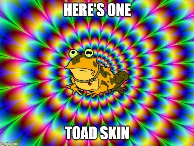 Hypnotoad | HERE'S ONE TOAD SKIN | image tagged in hypnotoad | made w/ Imgflip meme maker