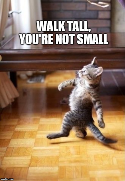 Cool Cat Stroll | WALK TALL,
YOU'RE NOT SMALL | image tagged in memes,cool cat stroll | made w/ Imgflip meme maker