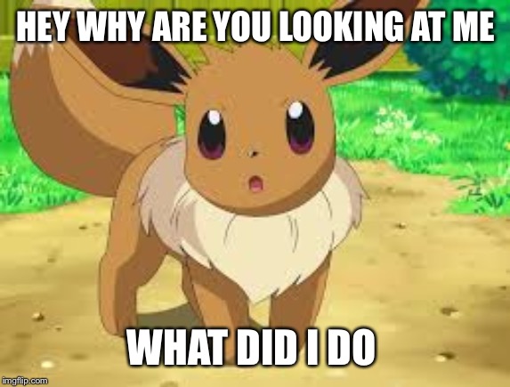 Eevee | HEY WHY ARE YOU LOOKING AT ME; WHAT DID I DO | image tagged in eevee | made w/ Imgflip meme maker