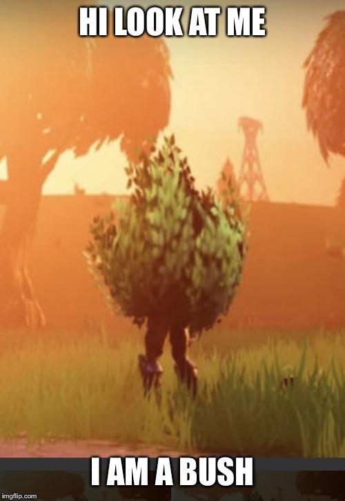 Fortnite bush | HI LOOK AT ME; I AM A BUSH | image tagged in fortnite bush | made w/ Imgflip meme maker