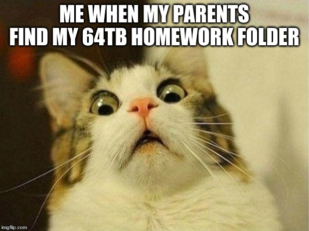 Scared Cat Meme | ME WHEN MY PARENTS FIND MY 64TB HOMEWORK FOLDER | image tagged in memes,scared cat | made w/ Imgflip meme maker