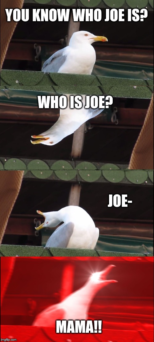 Inhaling Seagull Meme | YOU KNOW WHO JOE IS? WHO IS JOE? JOE-; MAMA!! | image tagged in memes,inhaling seagull | made w/ Imgflip meme maker