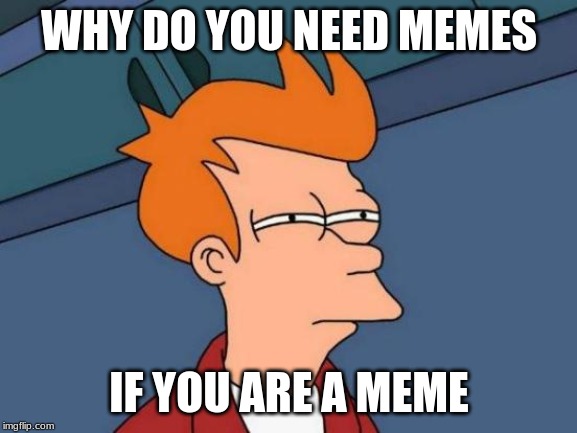 Futurama Fry | WHY DO YOU NEED MEMES; IF YOU ARE A MEME | image tagged in memes,futurama fry | made w/ Imgflip meme maker