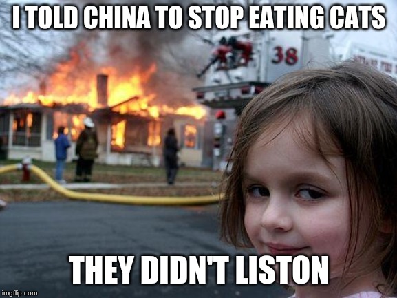 Disaster Girl Meme | I TOLD CHINA TO STOP EATING CATS; THEY DIDN'T LISTON | image tagged in memes,disaster girl | made w/ Imgflip meme maker