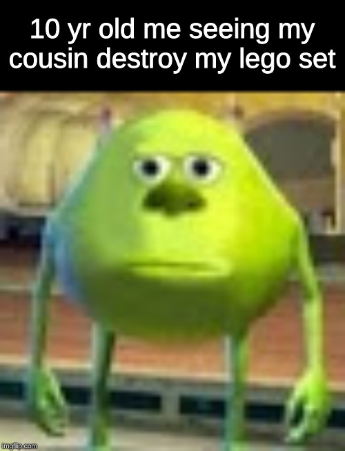 Sully Wazowski | 10 yr old me seeing my cousin destroy my lego set | image tagged in sully wazowski | made w/ Imgflip meme maker