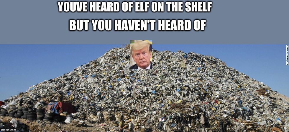 trump on a dump | YOUVE HEARD OF ELF ON THE SHELF; BUT YOU HAVEN'T HEARD OF | image tagged in donald trump | made w/ Imgflip meme maker