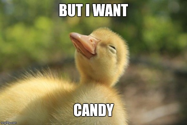 SLEEPY DUCKLING | BUT I WANT CANDY | image tagged in sleepy duckling | made w/ Imgflip meme maker