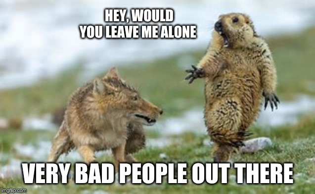 very bad people | HEY, WOULD YOU LEAVE ME ALONE; VERY BAD PEOPLE OUT THERE | image tagged in animal wisdom | made w/ Imgflip meme maker