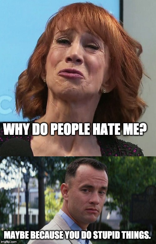 WHY DO PEOPLE HATE ME? MAYBE BECAUSE YOU DO STUPID THINGS. | image tagged in forrest gump,kathy griffin | made w/ Imgflip meme maker