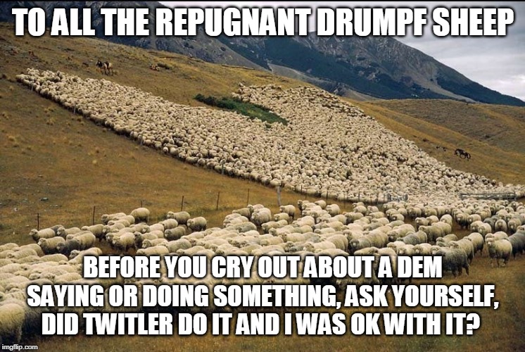 Flock of Sheep | TO ALL THE REPUGNANT DRUMPF SHEEP; BEFORE YOU CRY OUT ABOUT A DEM SAYING OR DOING SOMETHING, ASK YOURSELF, DID TWITLER DO IT AND I WAS OK WITH IT? | image tagged in flock of sheep | made w/ Imgflip meme maker