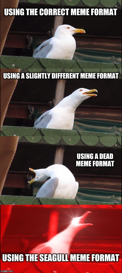 Inhaling Seagull Meme | USING THE CORRECT MEME FORMAT; USING A SLIGHTLY DIFFERENT MEME FORMAT; USING A DEAD MEME FORMAT; USING THE SEAGULL MEME FORMAT | image tagged in memes,inhaling seagull | made w/ Imgflip meme maker