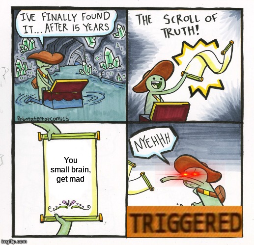 The Scroll Of Truth | You small brain, get mad | image tagged in memes,the scroll of truth | made w/ Imgflip meme maker