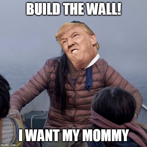 Bird Box Meme | BUILD THE WALL! I WANT MY MOMMY | image tagged in memes,bird box | made w/ Imgflip meme maker