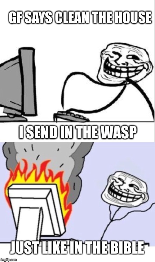 Roman cleaning, who gets this? lol | GF SAYS CLEAN THE HOUSE; I SEND IN THE WASP; JUST LIKE IN THE BIBLE | image tagged in troll comp | made w/ Imgflip meme maker