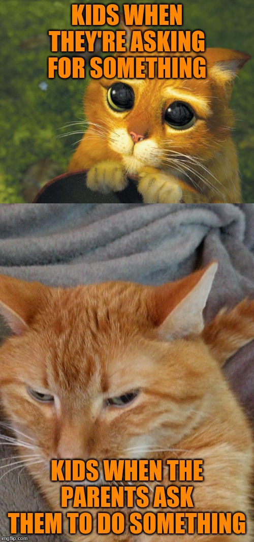 KIDS WHEN THEY'RE ASKING FOR SOMETHING; KIDS WHEN THE PARENTS ASK THEM TO DO SOMETHING | image tagged in pretty please cat,judgy orange cat | made w/ Imgflip meme maker