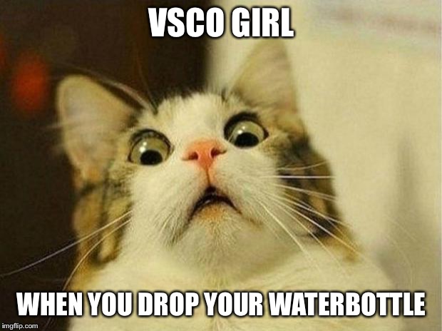 Scared Cat Meme | VSCO GIRL; WHEN YOU DROP YOUR WATERBOTTLE | image tagged in memes,scared cat | made w/ Imgflip meme maker