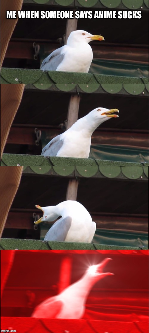 Inhaling Seagull Meme | ME WHEN SOMEONE SAYS ANIME SUCKS | image tagged in memes,inhaling seagull | made w/ Imgflip meme maker