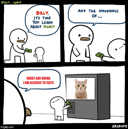 Billy no | WHAT ARE DOING I AM ALERGIC TO CATS | image tagged in billy no | made w/ Imgflip meme maker
