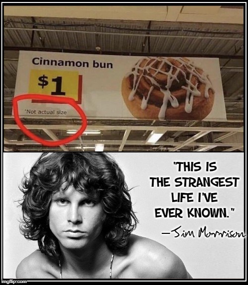 "The appeal of cinnamon... wait, I mean, cinema... lies in the fear of death." —Jim Morrison | "THIS IS THE STRANGEST LIFE I'VE EVER KNOWN."; Jim Morrison; — | image tagged in vince vance,jim morrison,the doors,cinnamon bun,not actual size,famous quotes | made w/ Imgflip meme maker