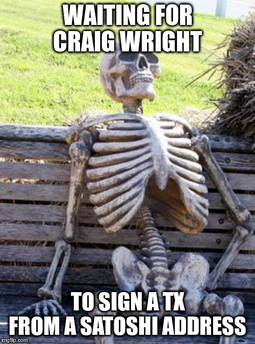 Waiting Skeleton | WAITING FOR CRAIG WRIGHT; TO SIGN A TX FROM A SATOSHI ADDRESS | image tagged in memes,waiting skeleton | made w/ Imgflip meme maker